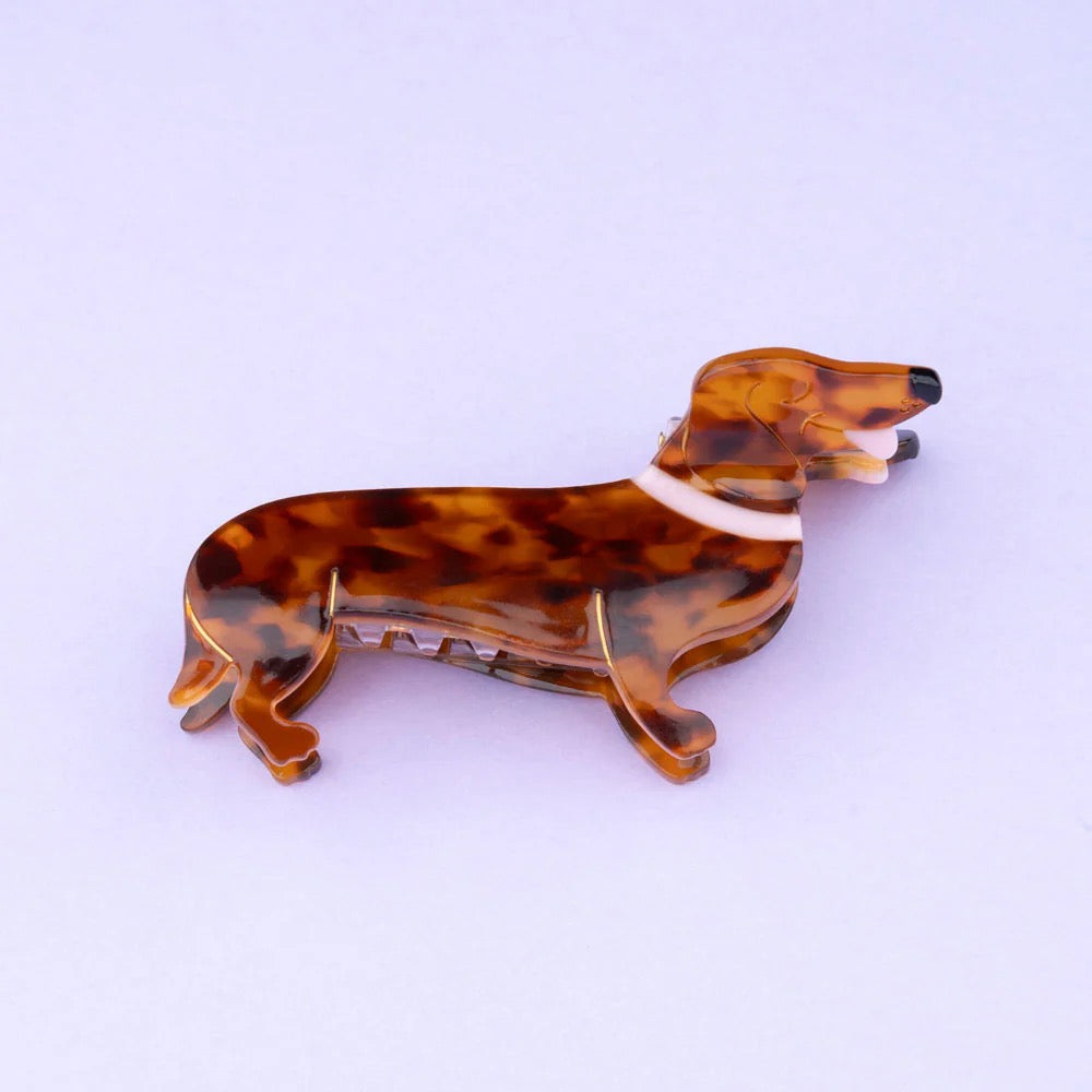 Dachshund Hair Claw